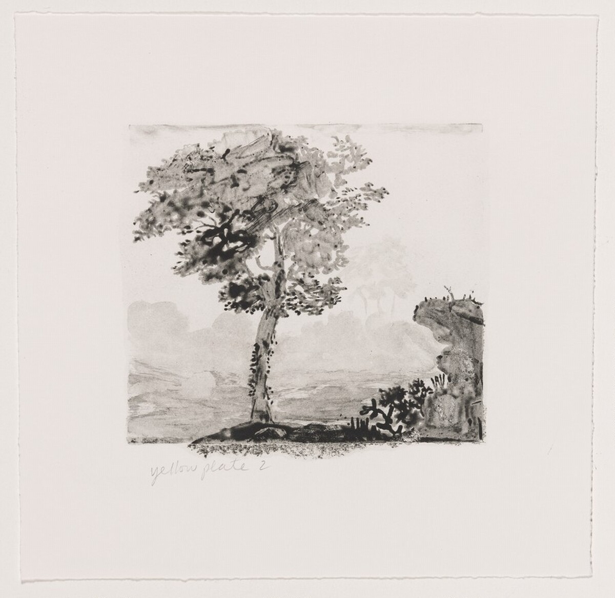 Untitled (#2) [working proof 1e] by Joan Nelson