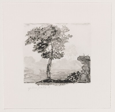 Untitled (#2) [working proof 1e]