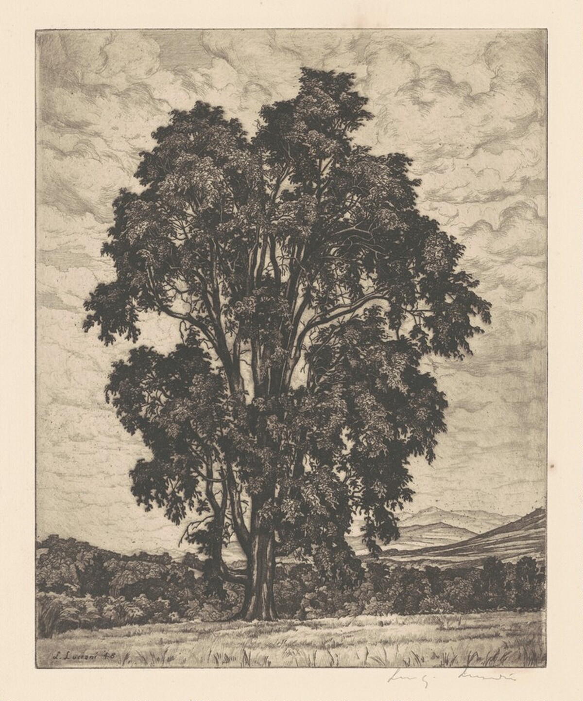 Elm on the Hill by Luigi Lucioni