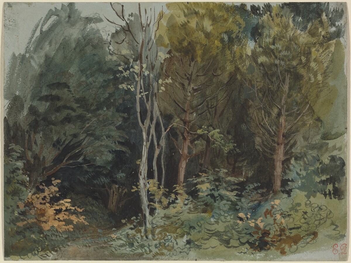 The Edge of a Wood at Nohant by Eugène Delacroix
