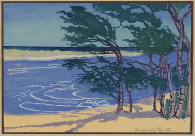 Windblown Trees