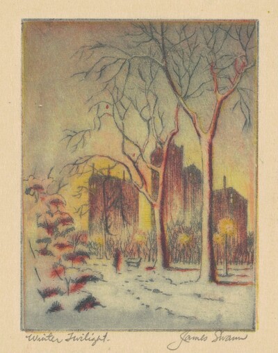 Winter Twilight