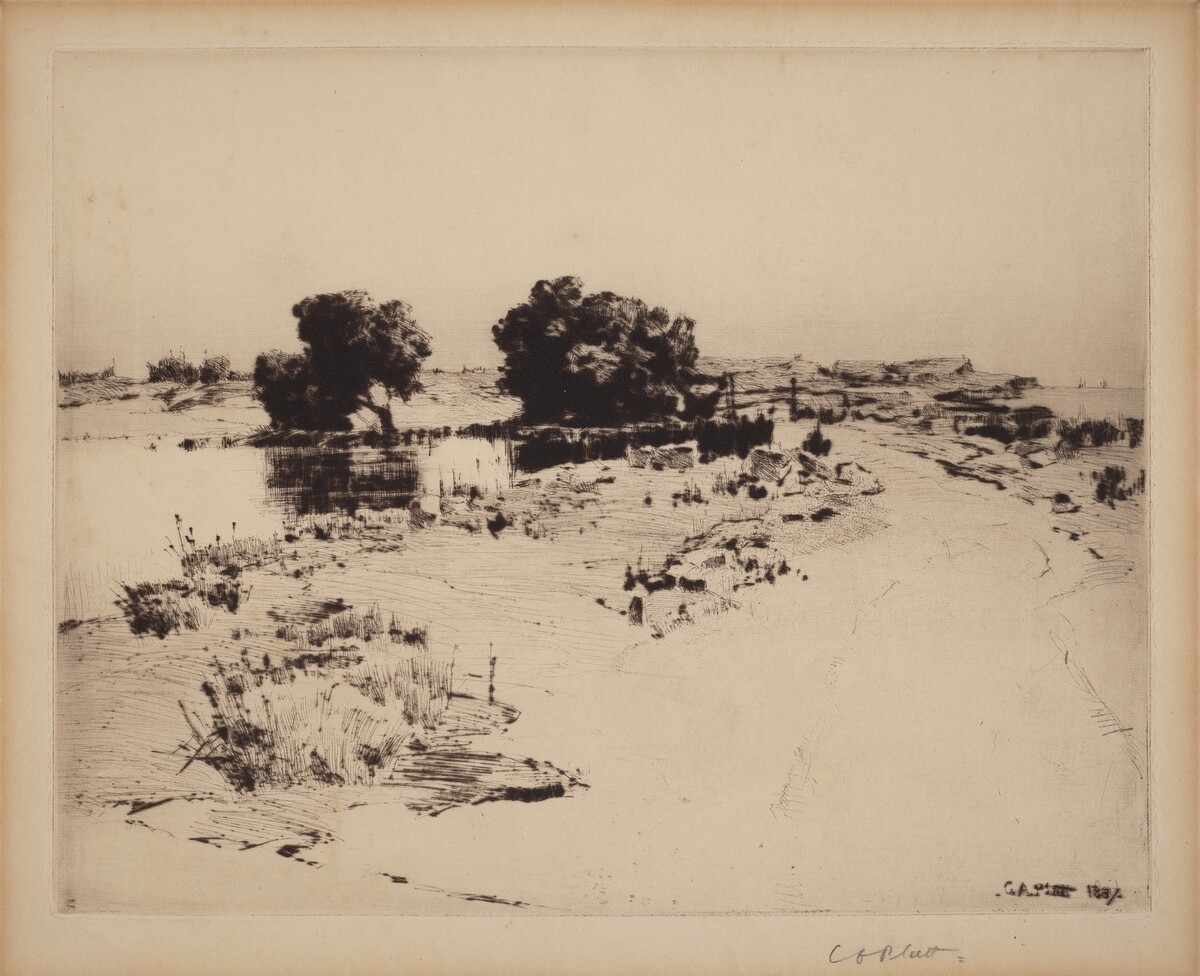 Cape Ann Willows by Charles A. Platt