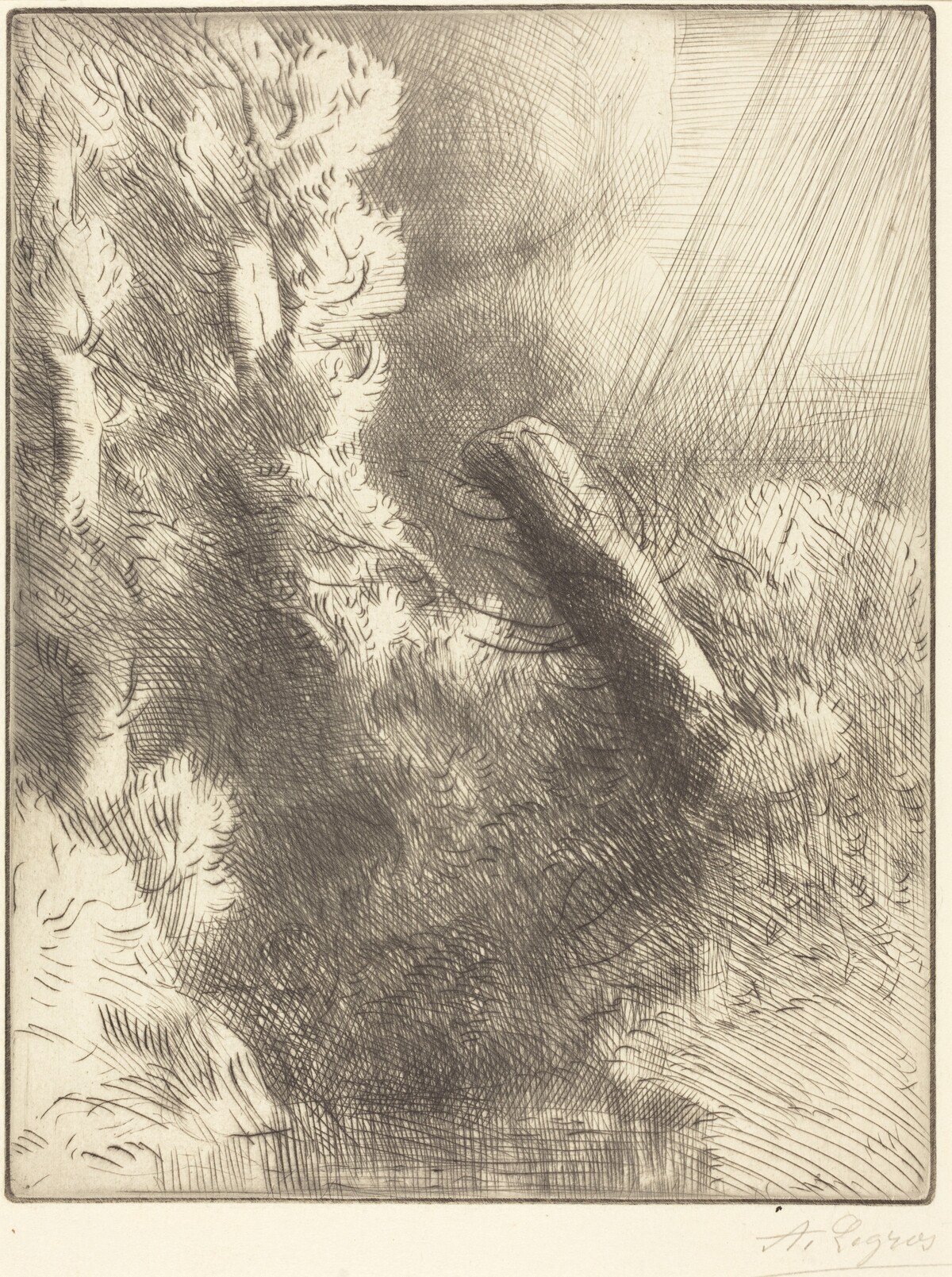 Memories of Fountainebleau in the Rain (Souvenir de Fountainebleau (Effet de pluie)) by Alphonse Legros