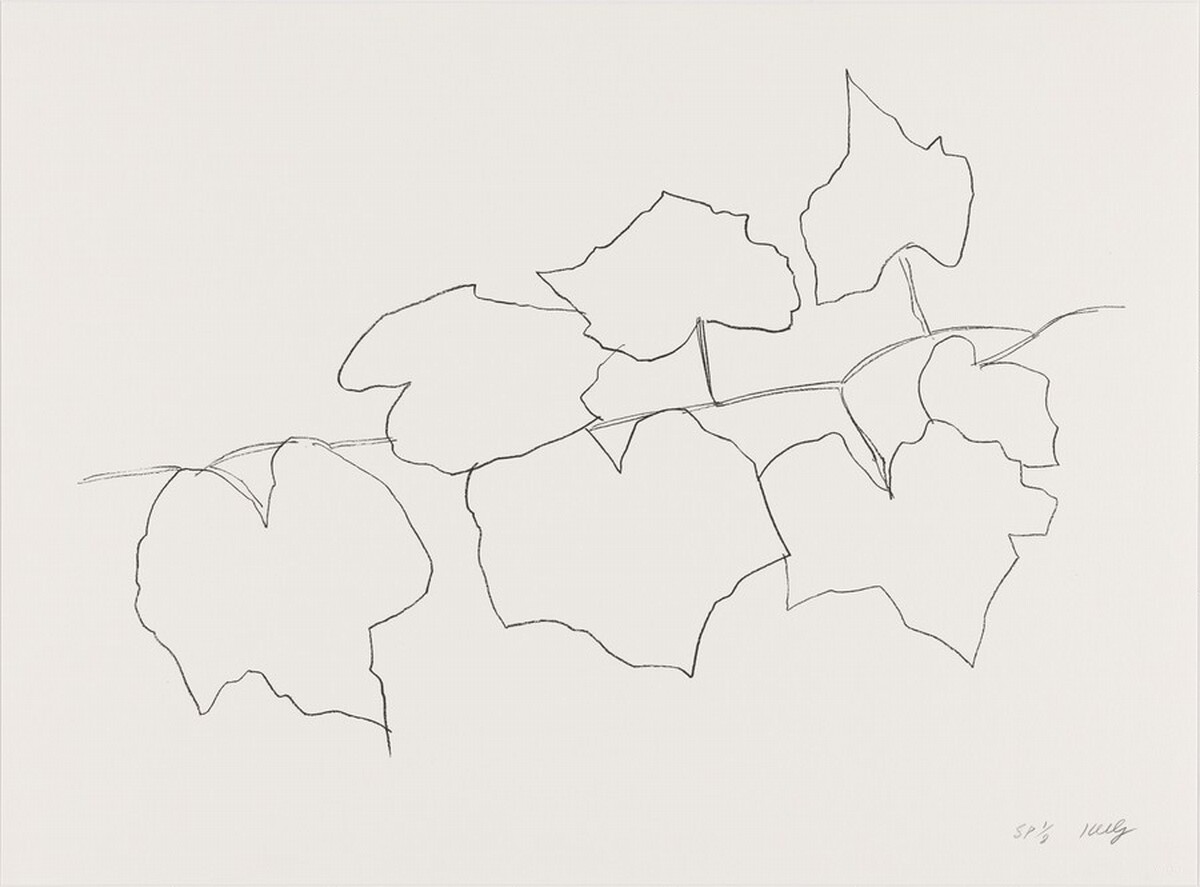 Wild Grape Leaves II by Ellsworth Kelly