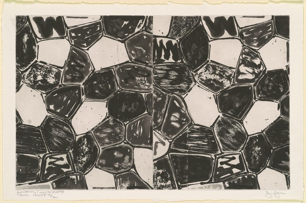 Flagstones (endpaper) [trial proof 2] by Jasper Johns