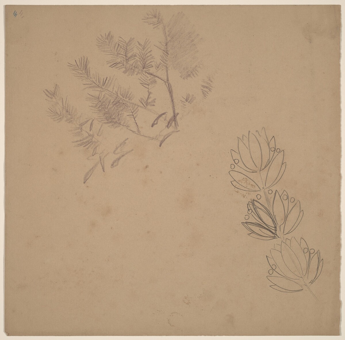 Study for a Border Design with a Sketch of a Tree by Charles Sprague Pearce