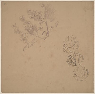 Study for a Border Design with a Sketch of a Tree
