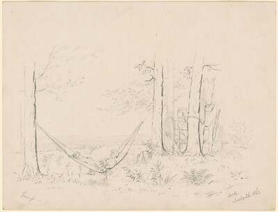 Camp