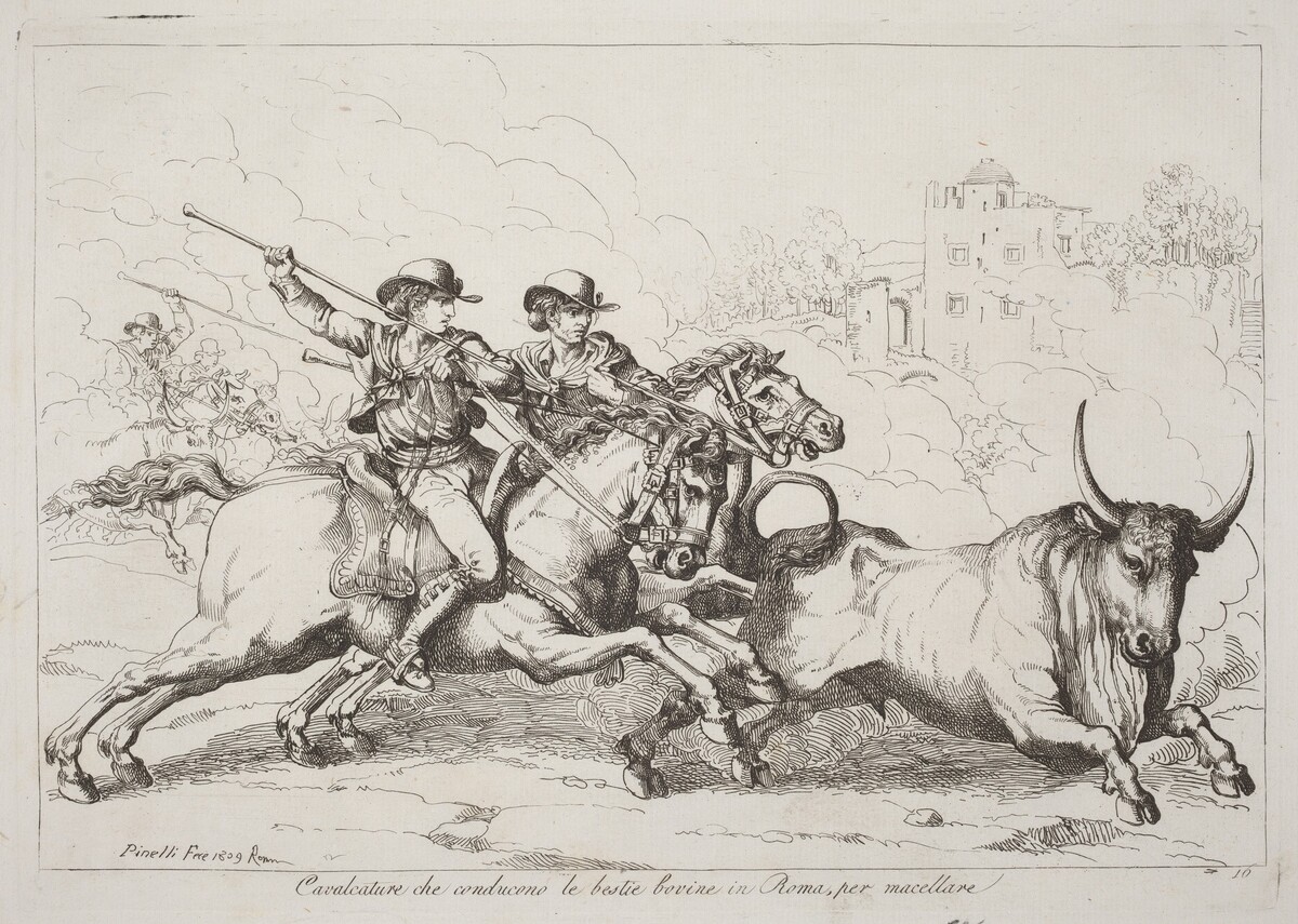 Cavalcature che conducono le bestie bovine in Roma, per macellare (Cattle Driven to the Slaughter in Rome) (Plate 16) by Bartolomeo Pinelli