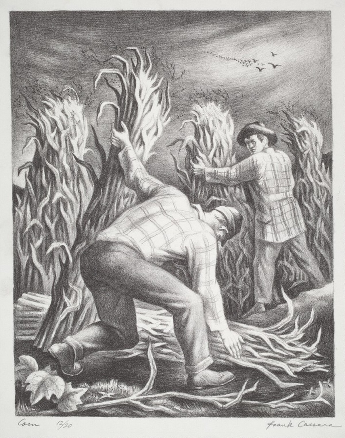 Corn by Frank Cassara
