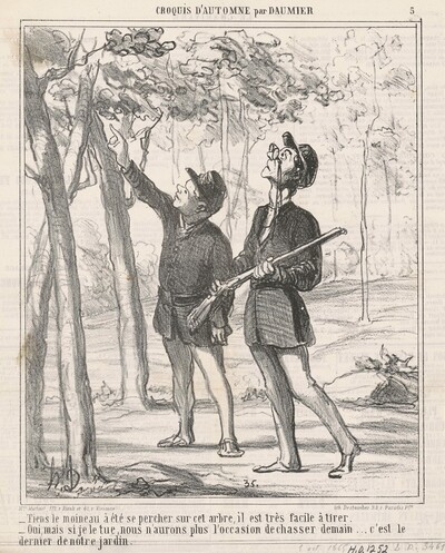 Tiens, le moineau a été sepercher