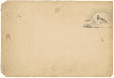 A Duck and a Stag [verso]