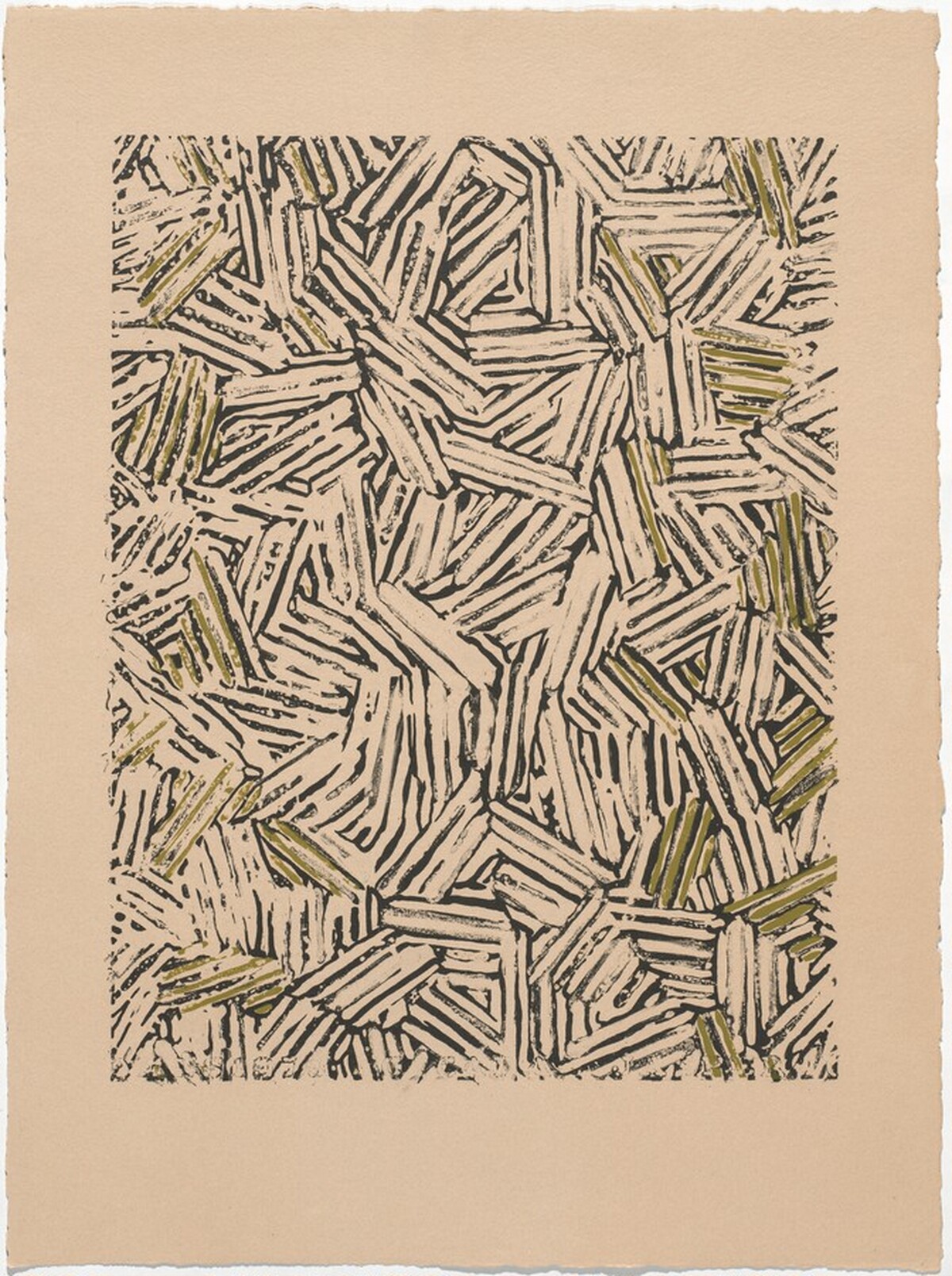 Cicada [trial proof] by Jasper Johns