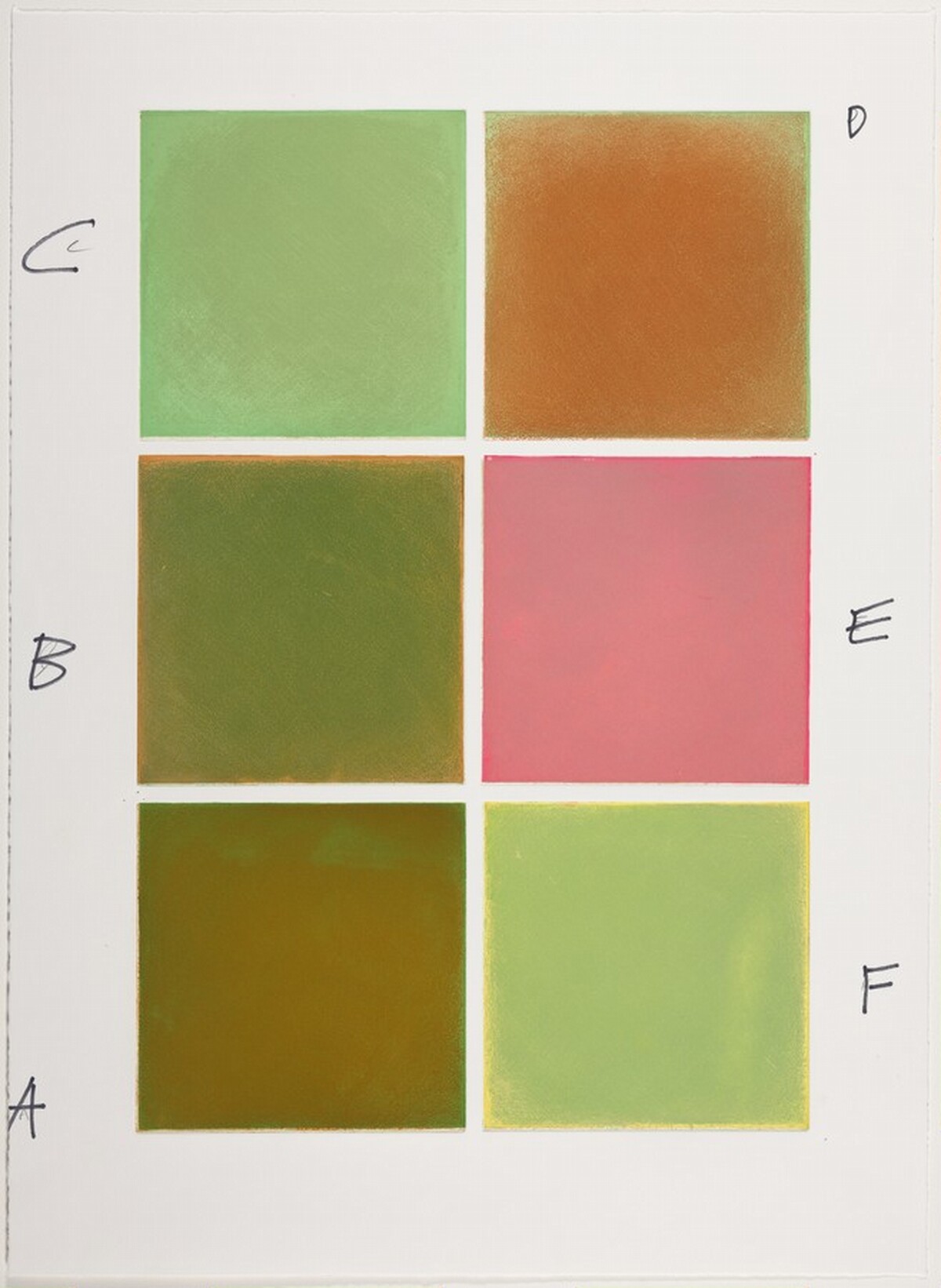 Kinnikinnick [working proof 15] by Anne Appleby