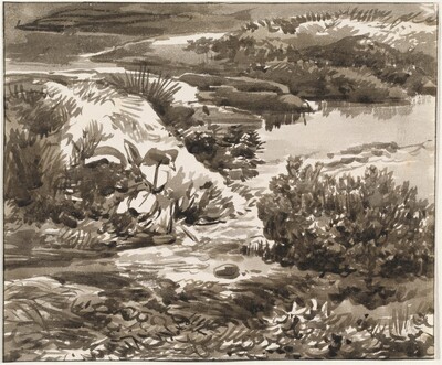Corner of a Meadow with a Stream