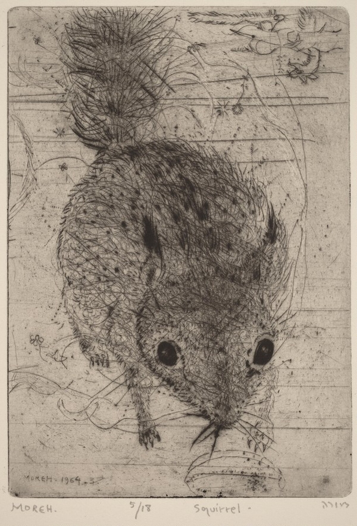 Squirrel by Mordecai Moreh