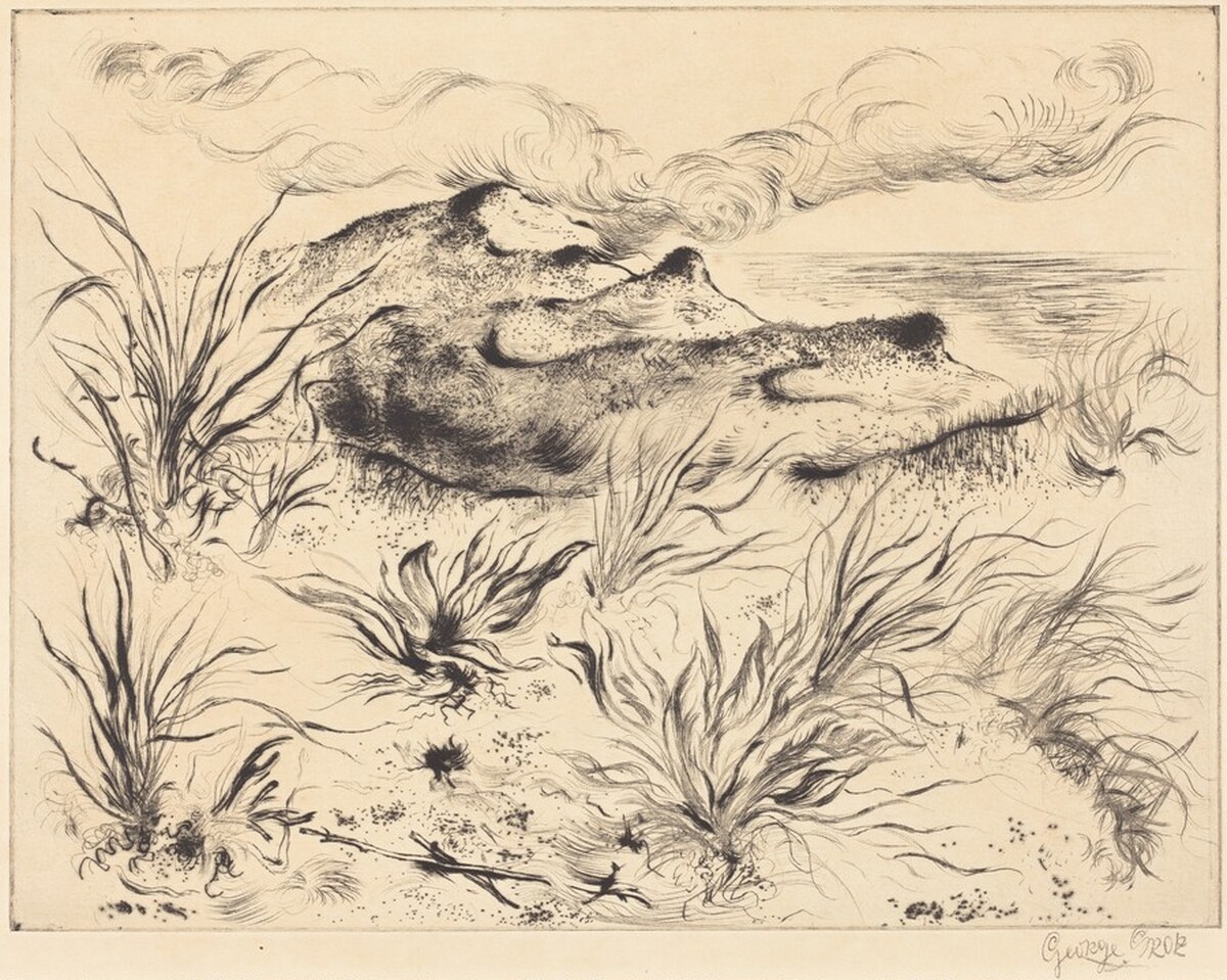 Dunes and Grass (Dünen und Strandgräser) by George Grosz