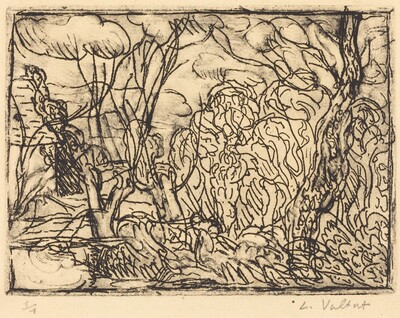 Paysage d'arbres