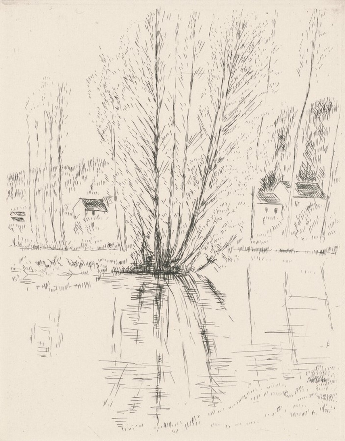 Comme on void sur la branche... (As We See on the Branch...) by Andre Dunoyer de Segonzac