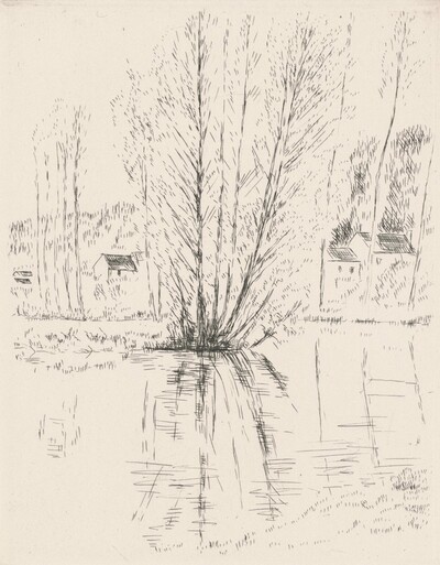 Comme on void sur la branche... (As We See on the Branch...)