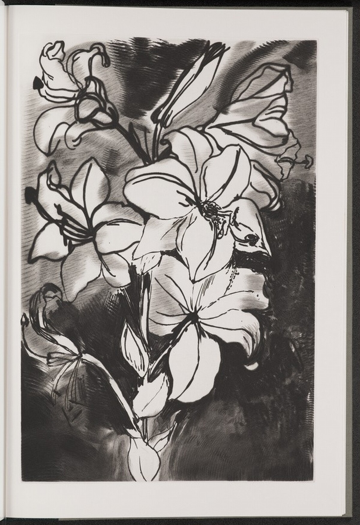 Madonna Lily by Jim Dine
