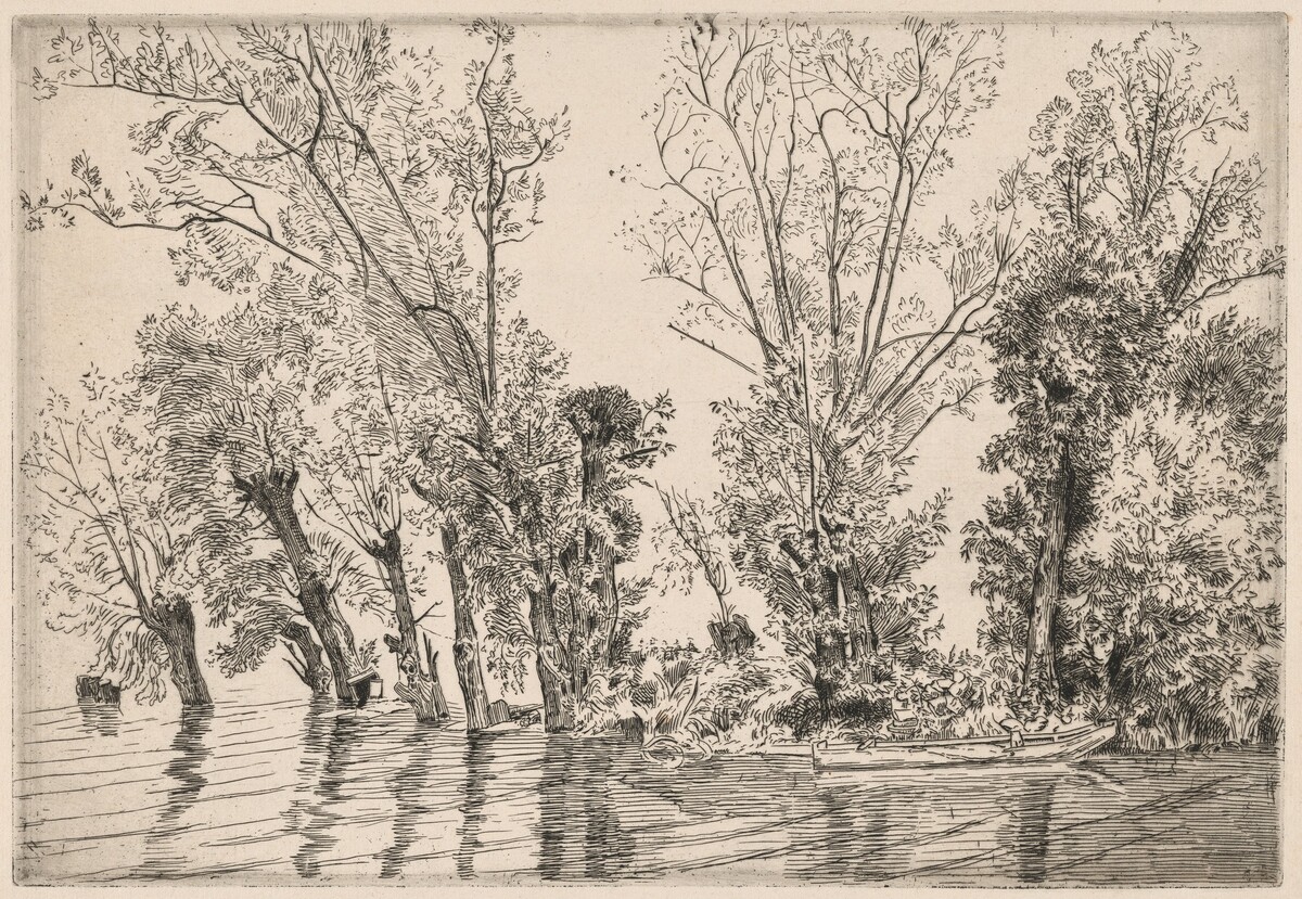 Willows of the Mottiaux Islands by Félix Bracquemond