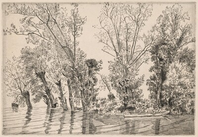 Willows of the Mottiaux Islands