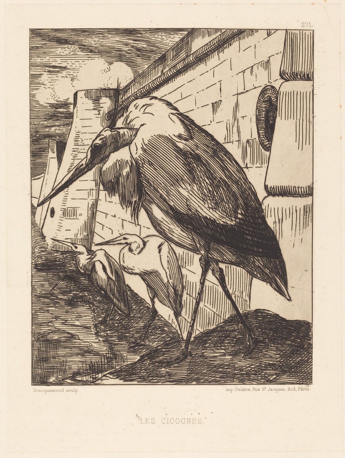 Les Cigognes (The Storks) by Félix Bracquemond
