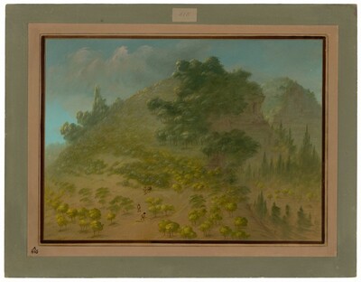 Rhododendron Mountain