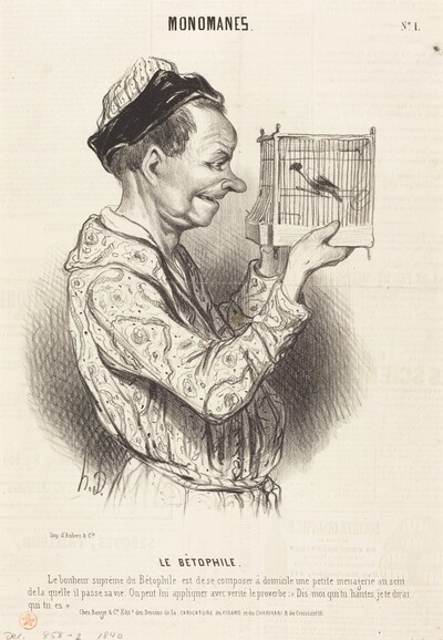 Le Bétophile