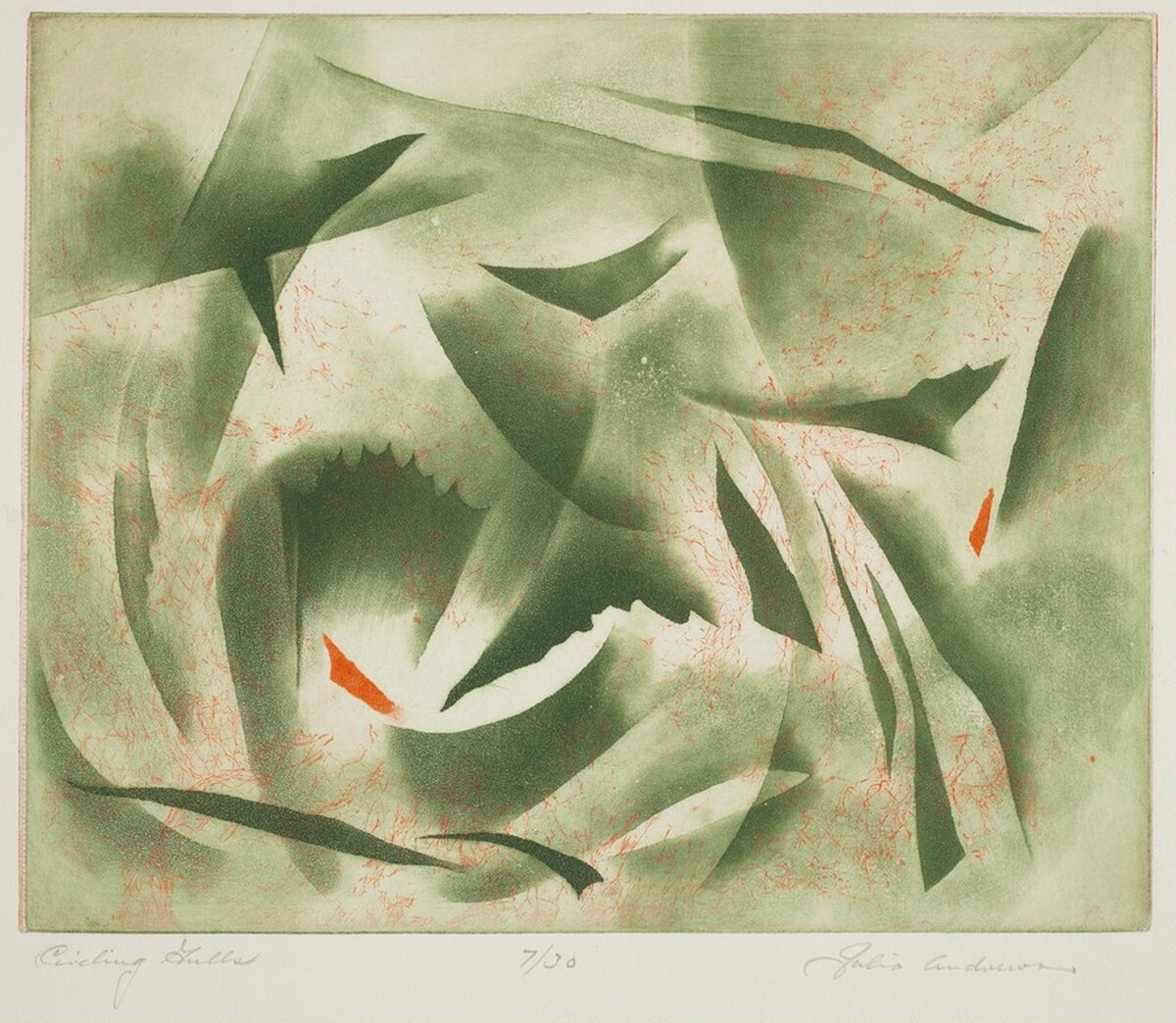 Circling Gulls by Julia Andrews