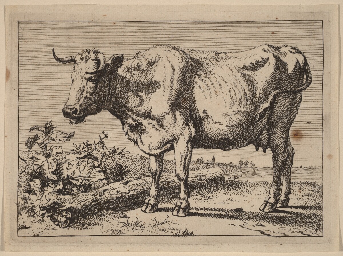 Standing Cow (Cow with a Crumpled Horn) by Paulus Potter