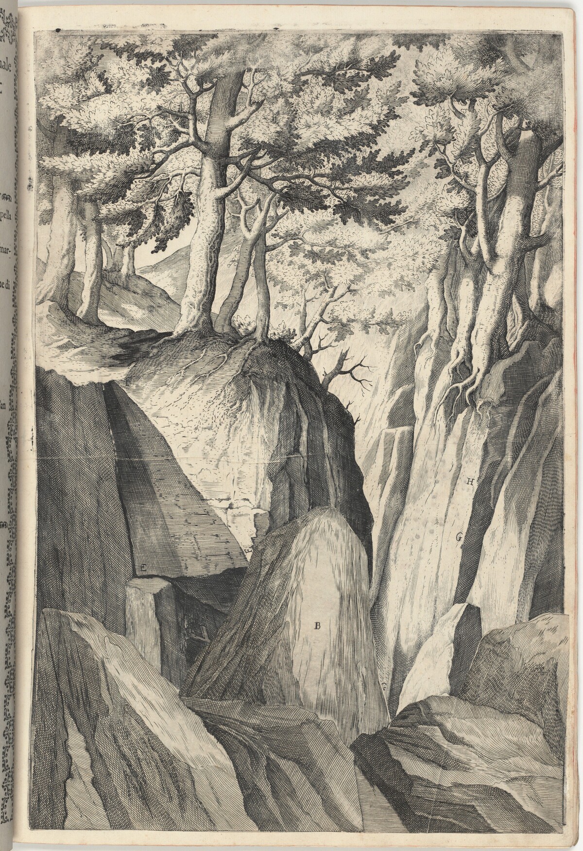 The Prominent Rock (Sasso spicco) [plate I] by Jacopo Ligozzi (artist), Anonymous engraver possibly Domenico Falcini, Lino Moroni (author)