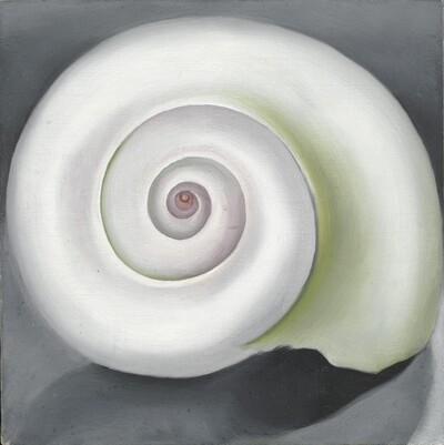 Shell No. I