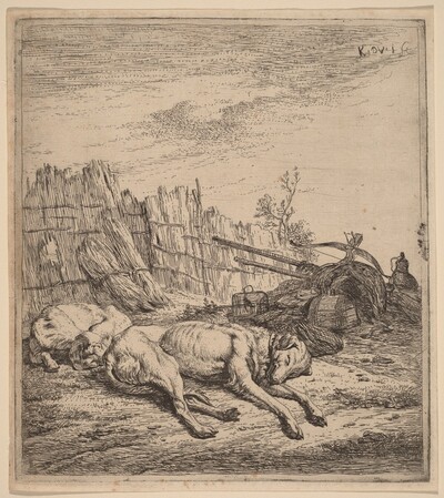 Hunting Dogs