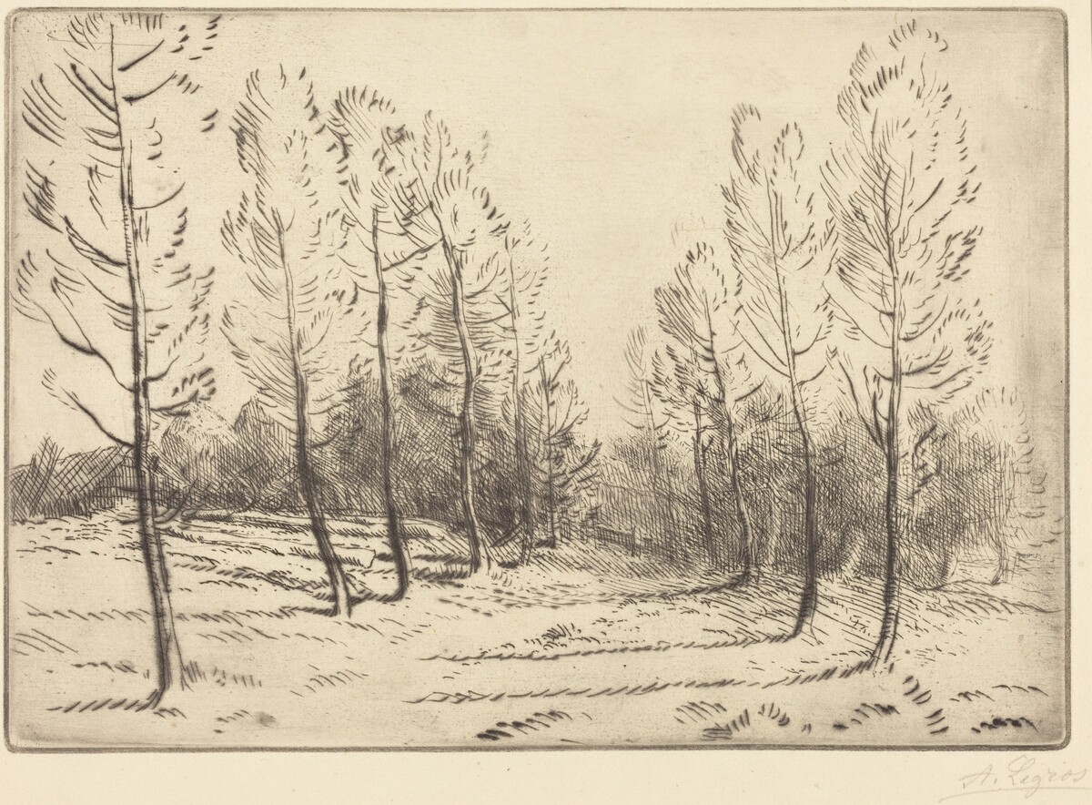 Avenue of Poplars (L'allee de peupliers) by Alphonse Legros