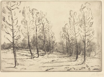 Avenue of Poplars (L'allee de peupliers)