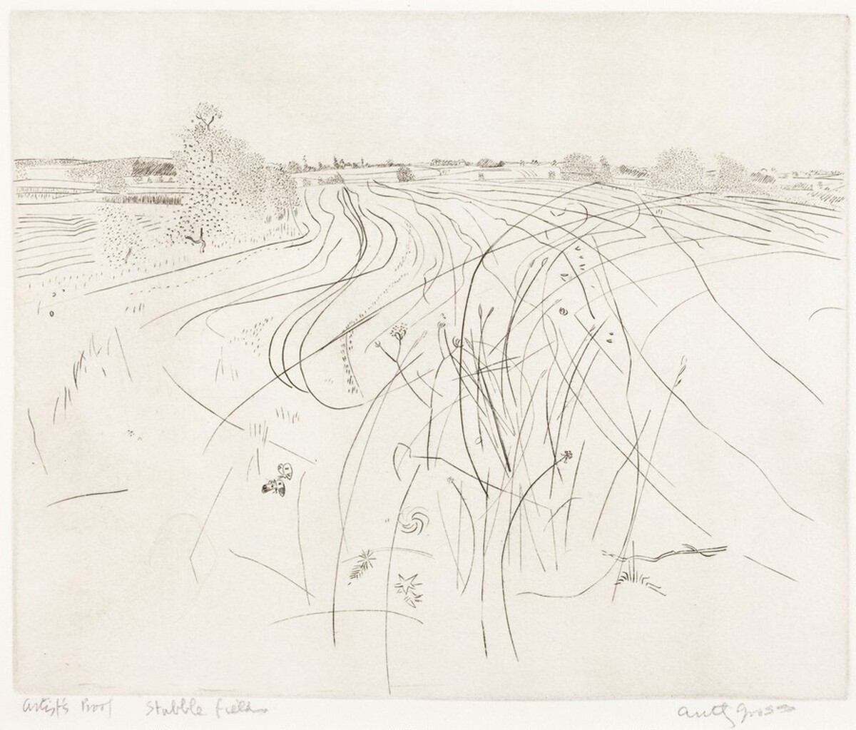 Stubble Fields by Anthony Gross