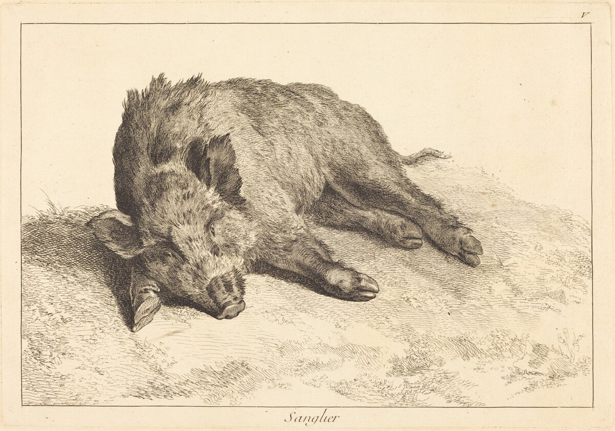 Sanglier (Wild Boar Lying Down, Head to the Left) by Jacques-Philippe Le Bas and Jean Eric Rehn after Jean-Baptiste Oudry