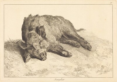 Sanglier (Wild Boar Lying Down, Head to the Left)
