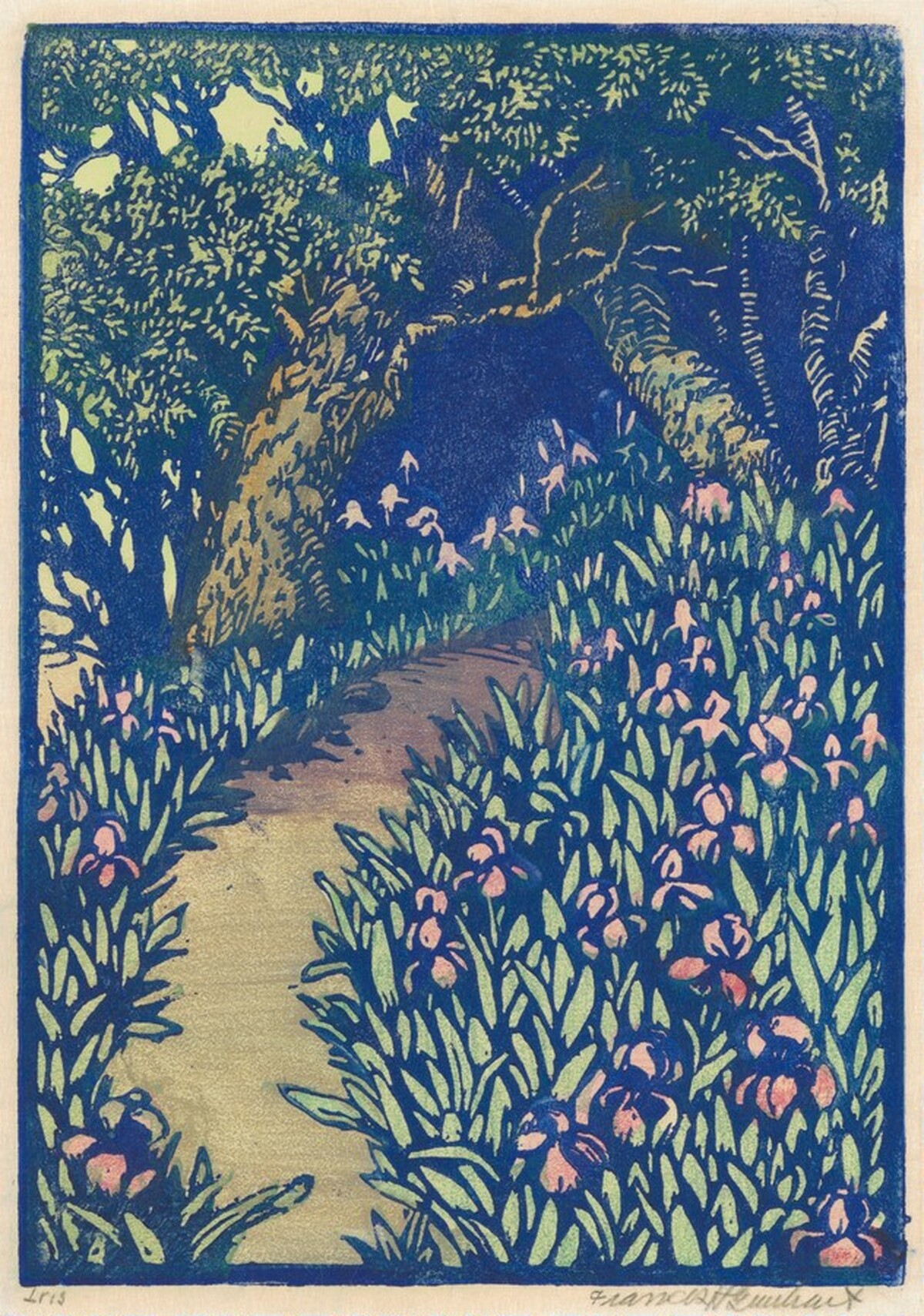 Iris by Frances H. Gearhart
