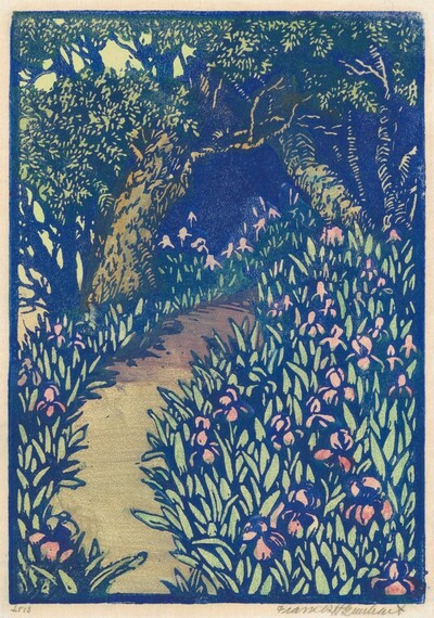 Iris