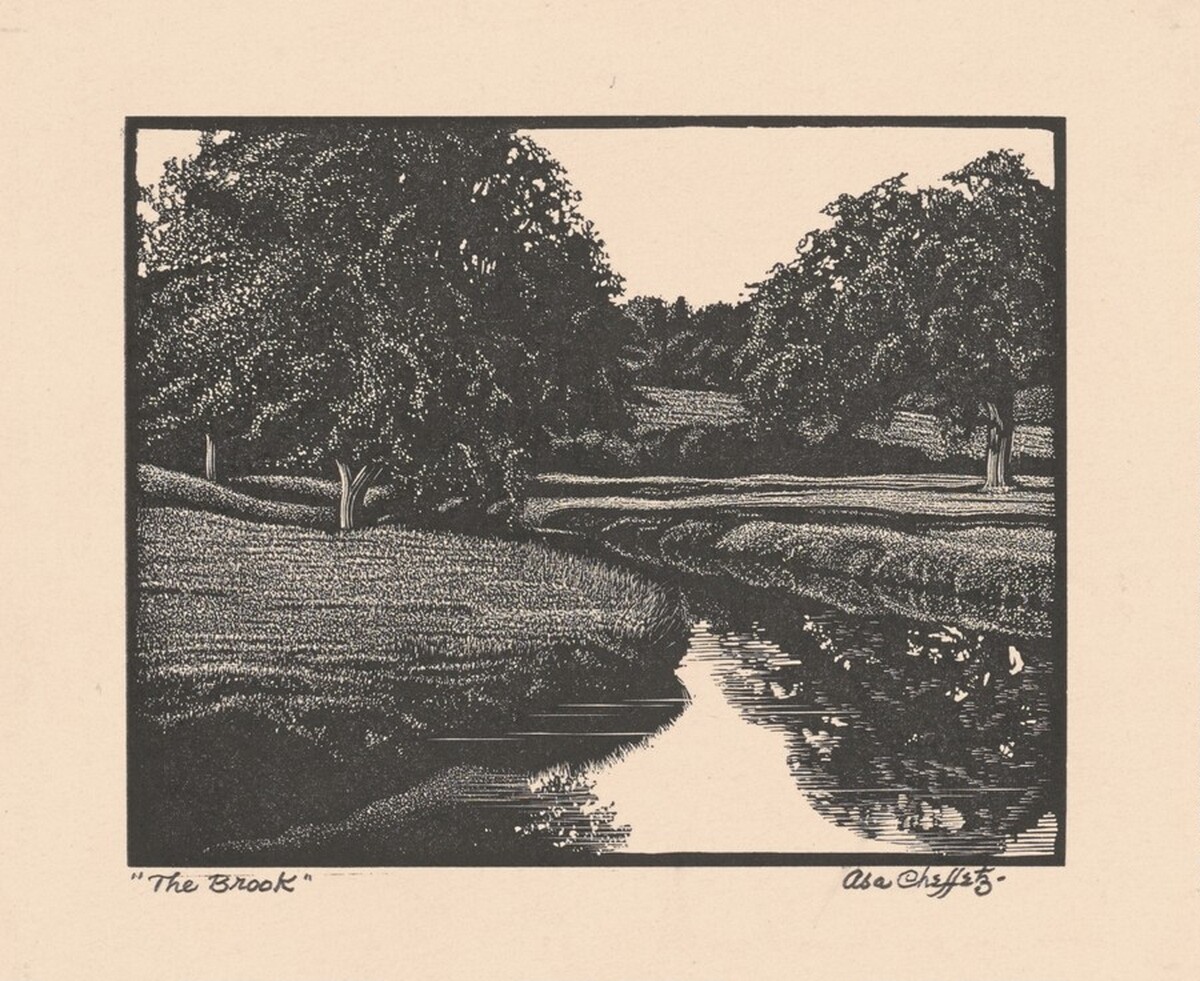 The Brook by Asa Cheffetz