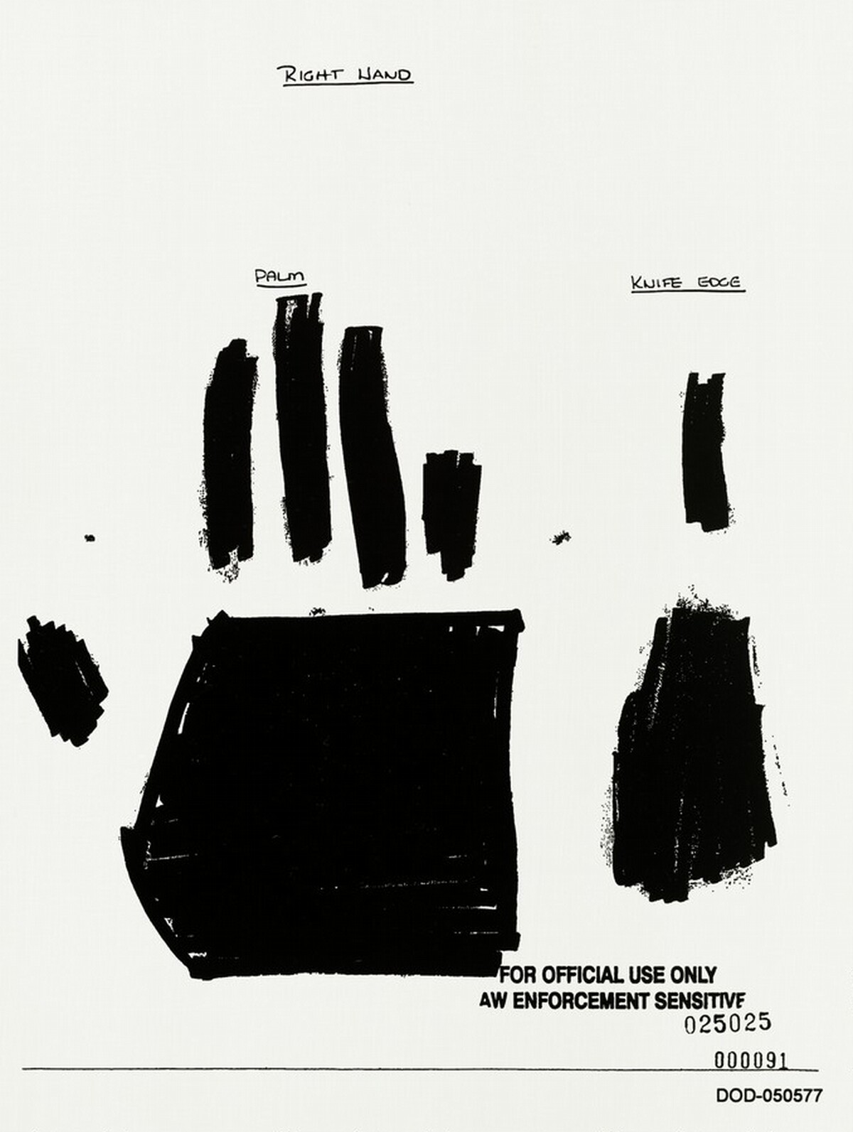 RIGHT HAND DOD-050577 by Jenny Holzer