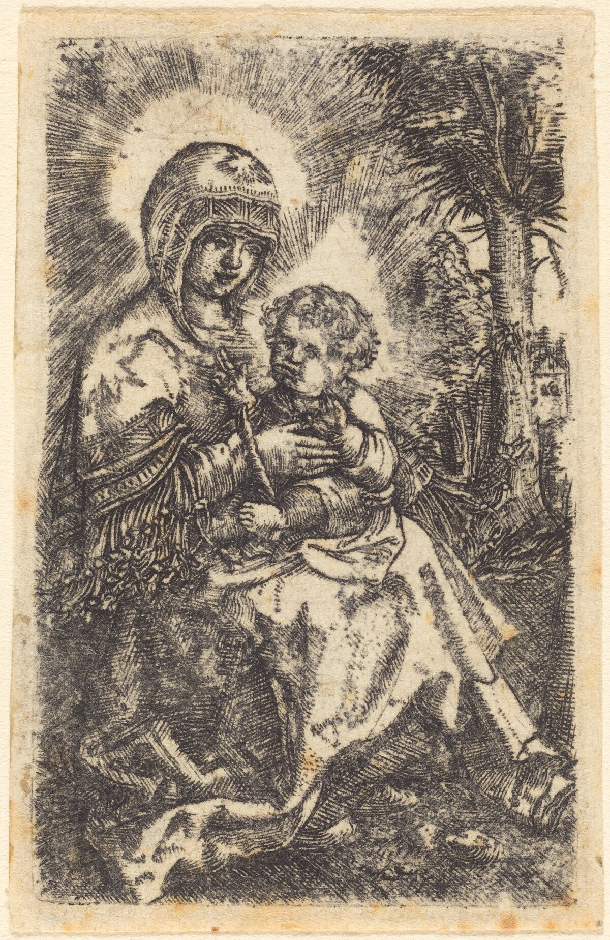 The Beautiful Virgin of Regensburg Seated in a Landscape by Albrecht Altdorfer