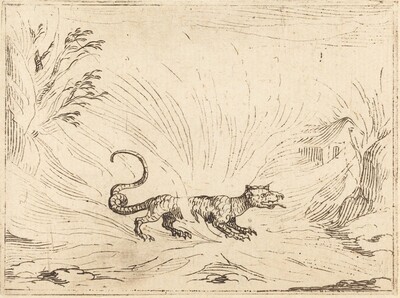 Salamander Surrounded by Flames