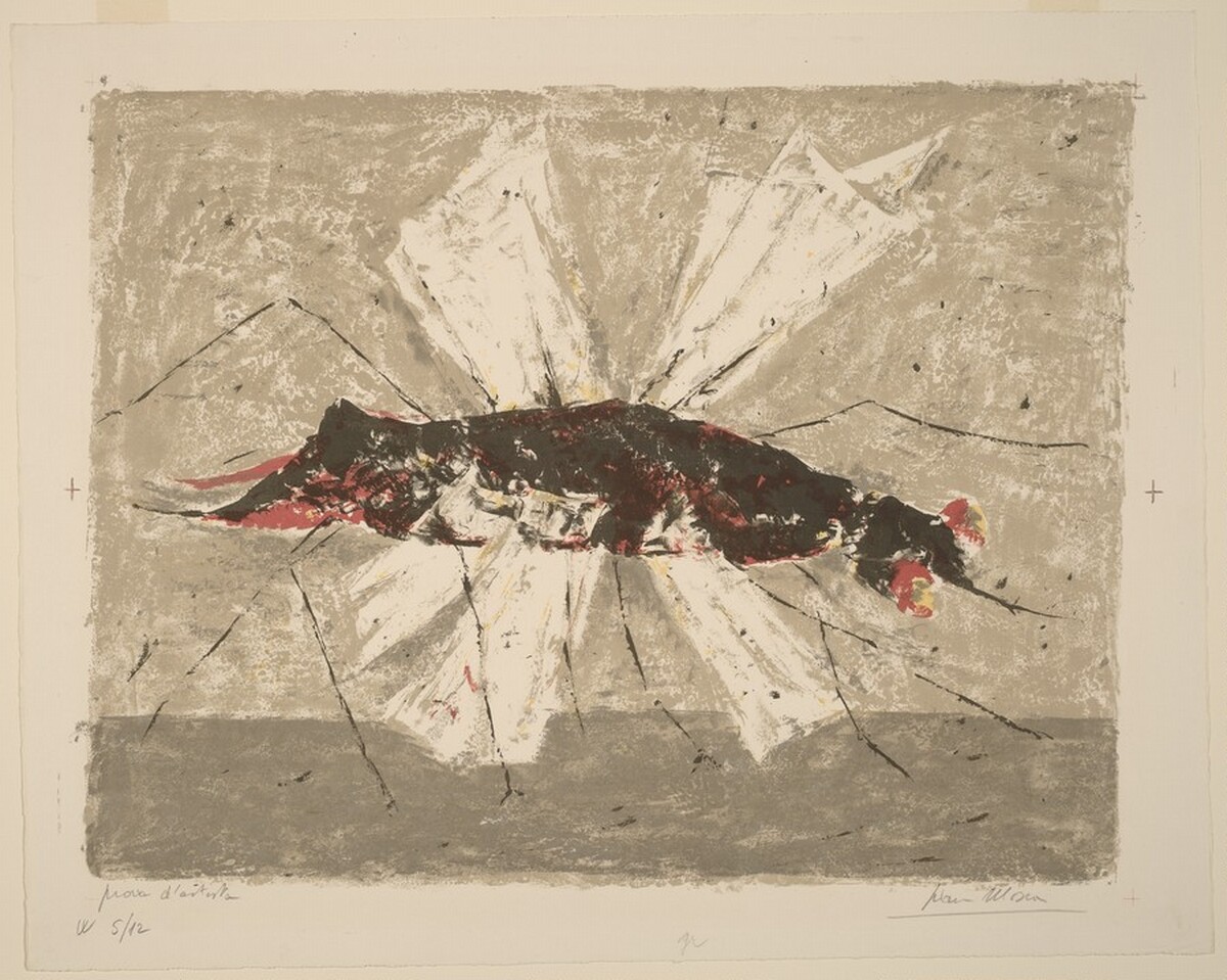 Mosquito by Ivan Mosca