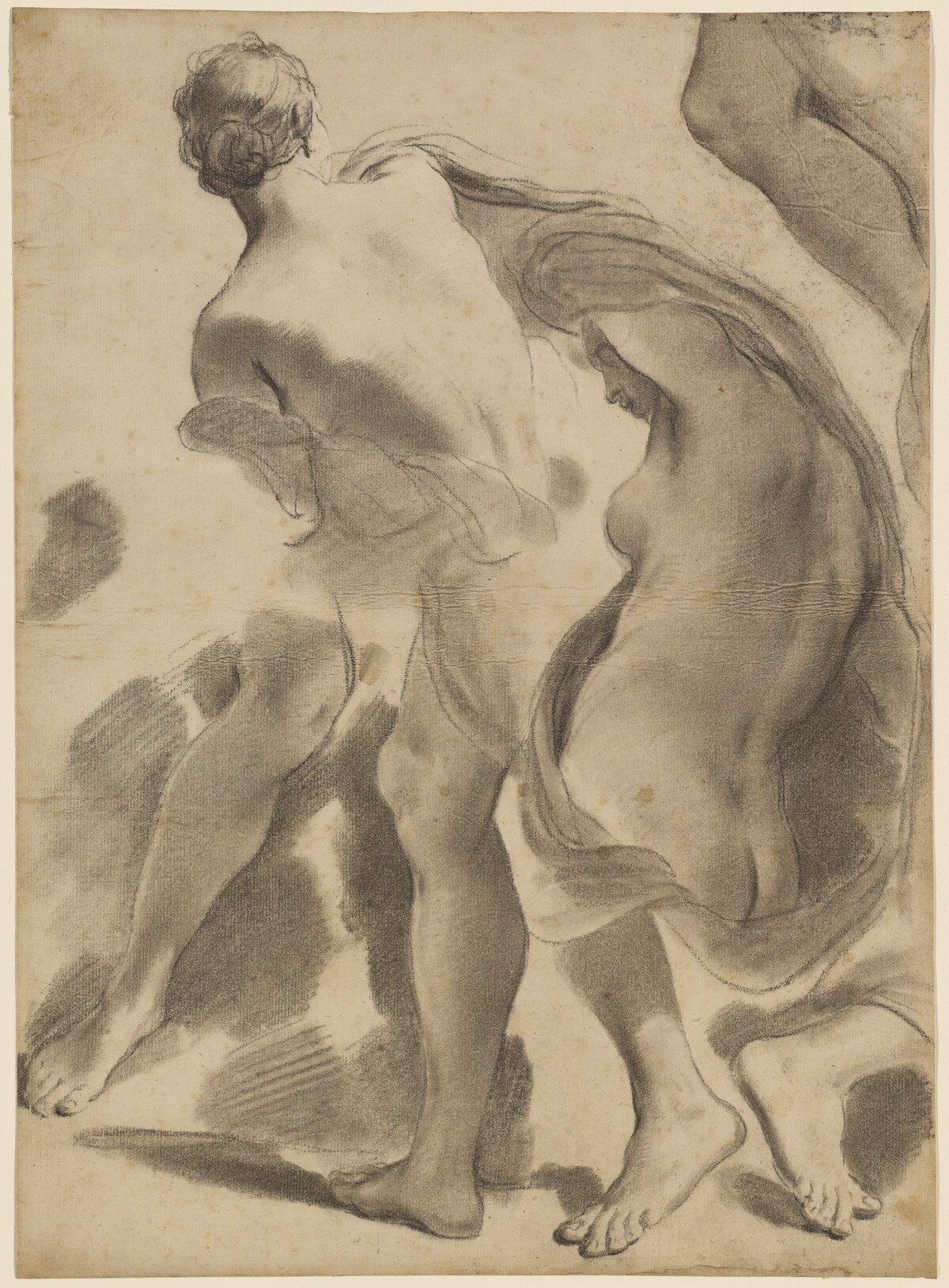 Studies of Female Nudes by Gaetano Gandolfi