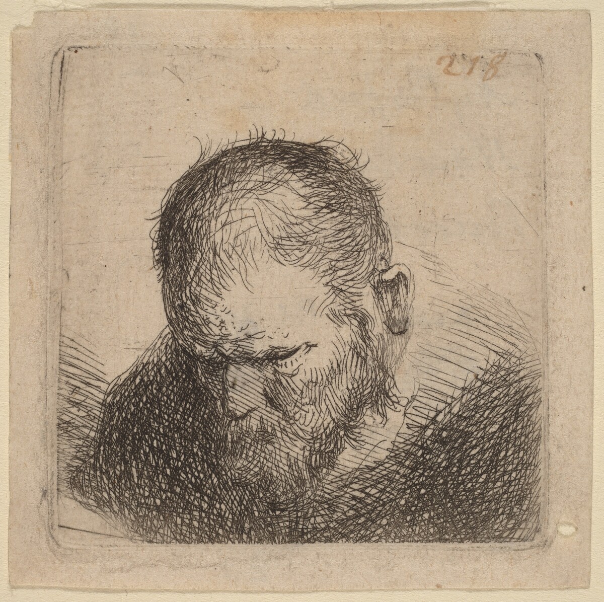 Bearded Man Looking Down by Studio of Rembrandt van Rijn